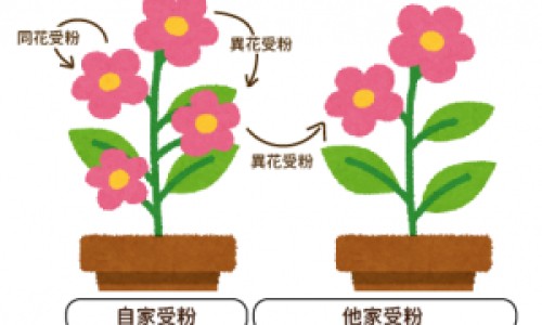 心脾两虚和肝郁气滞的区别-心脾两虚与肝气郁结有何区别网 - 网站提供心脾两虚和肝郁气滞的区别小常识、心脾两虚加肝郁